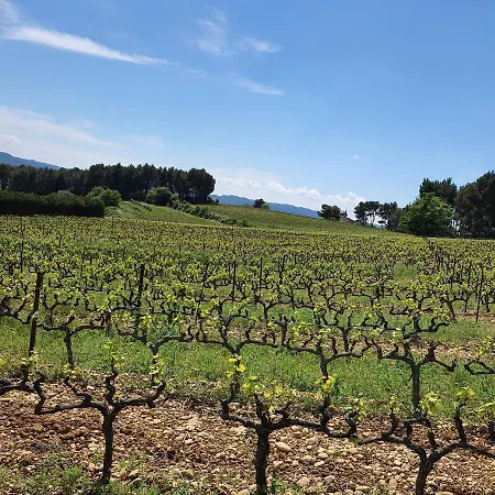 Bastide Bellugue Reseau Bienvenue A La Ferme A 3 Minutes De Lourmarin Bed & Breakfast *