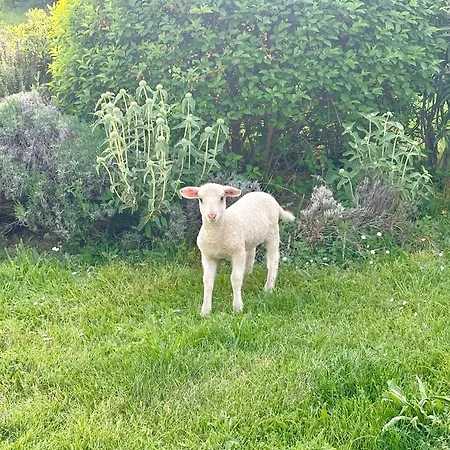 Bastide Bellugue Reseau Bienvenue A La Ferme A 3 Minutes De Lourmarin Bed & Breakfast Cadenet