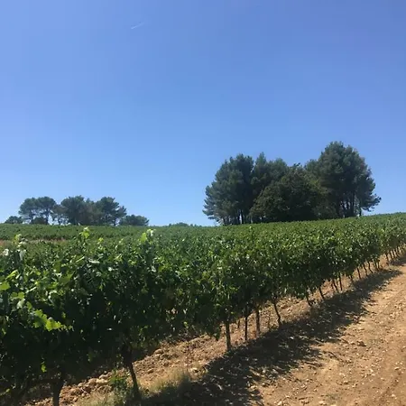 Bastide Bellugue Reseau Bienvenue A La Ferme A 3 Minutes De Lourmarin *
