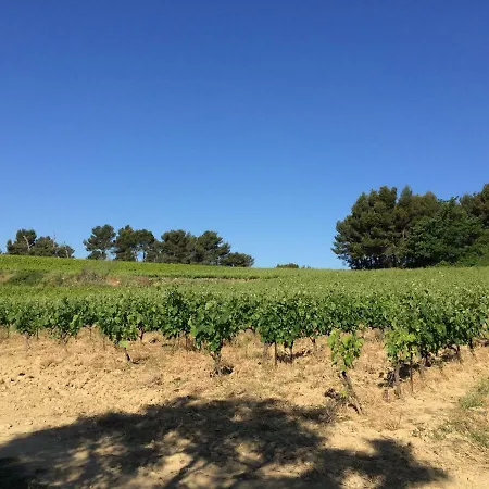 Bastide Bellugue Reseau Bienvenue A La Ferme A 3 Minutes De Lourmarin Bed & Breakfast Cadenet