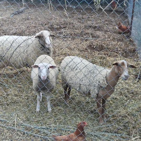 Bastide Bellugue Reseau Bienvenue A La Ferme A 3 Minutes De Lourmarin Frühstückspension