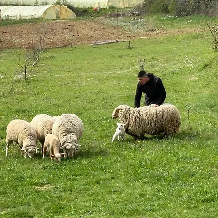 Bastide Bellugue Reseau Bienvenue A La Ferme A 3 Minutes De Lourmarin Frühstückspension